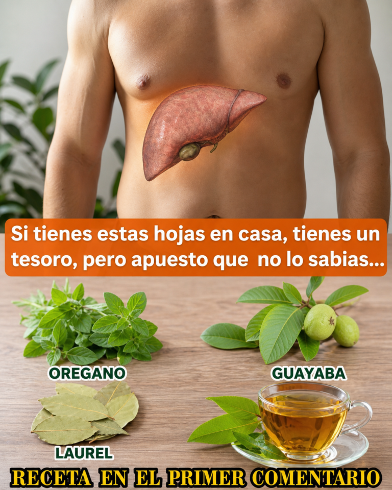 Principales beneficios de esta infusión natural – Receta iadun